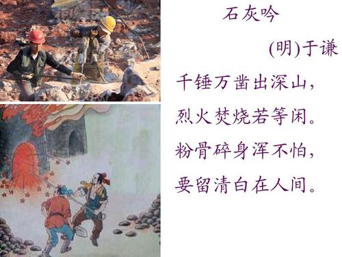 重生之血狼出击